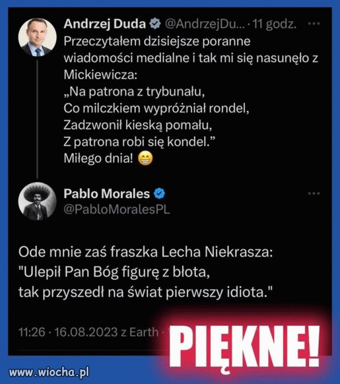 Z cyklu: Literatura polska