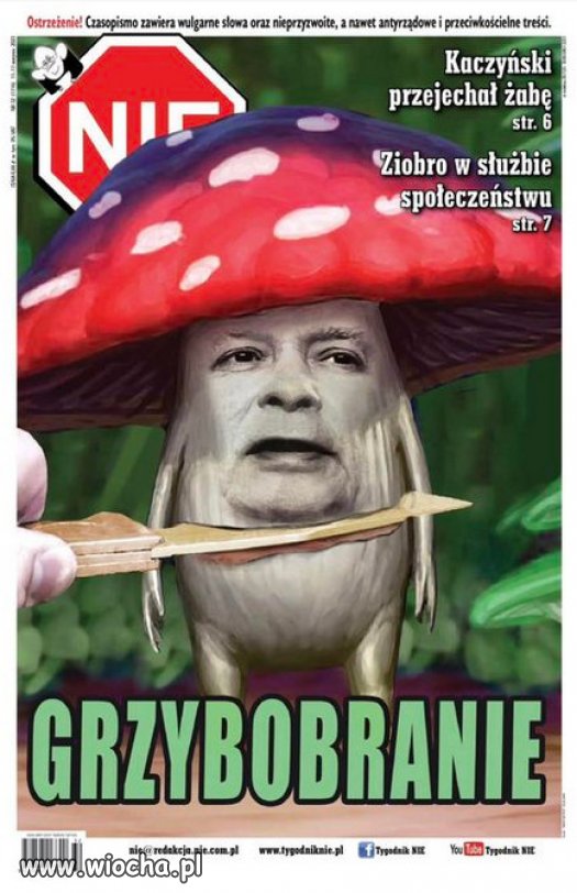 Uwaga na te grzyby, mogą powodować halucynację...