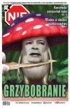 Uwaga na te grzyby, mogą powodować halucynację...