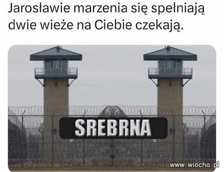 Naczytał się Tolkiena