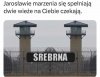 Naczytał się Tolkiena