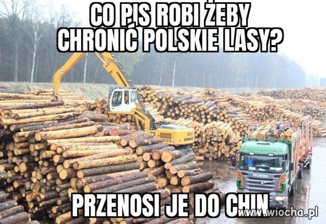 Dziękujemy w imieniu lasów