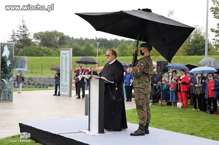Dziś na topie 