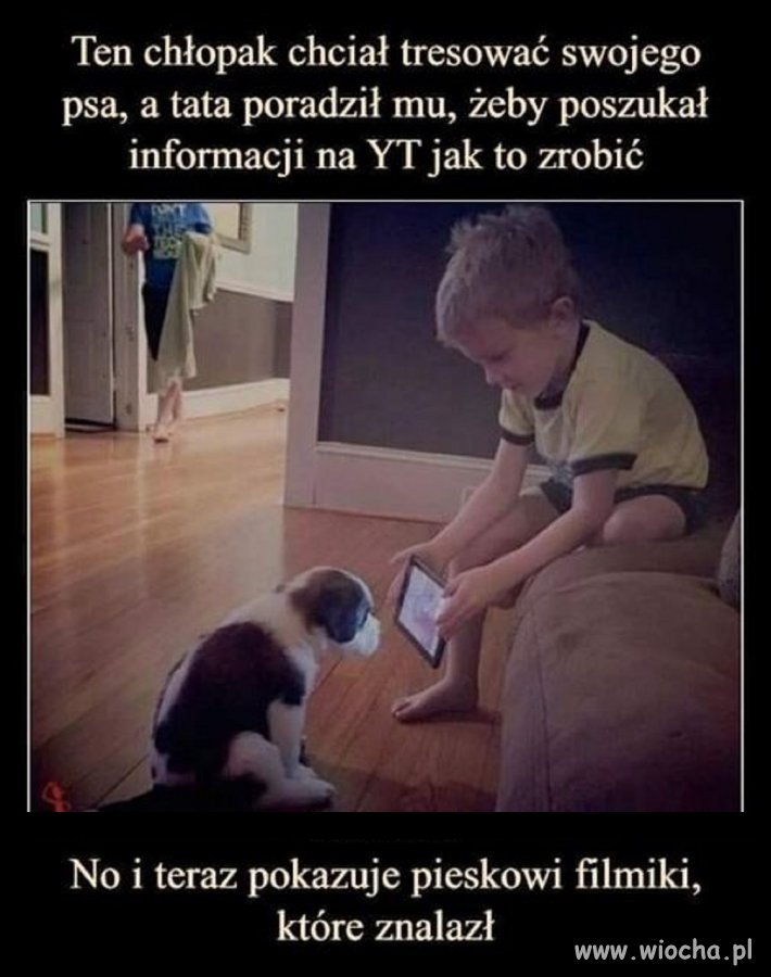 Najsłodsze co dzisiaj zobaczysz