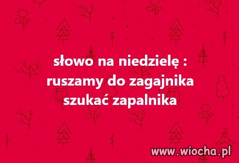 Grzybobranie