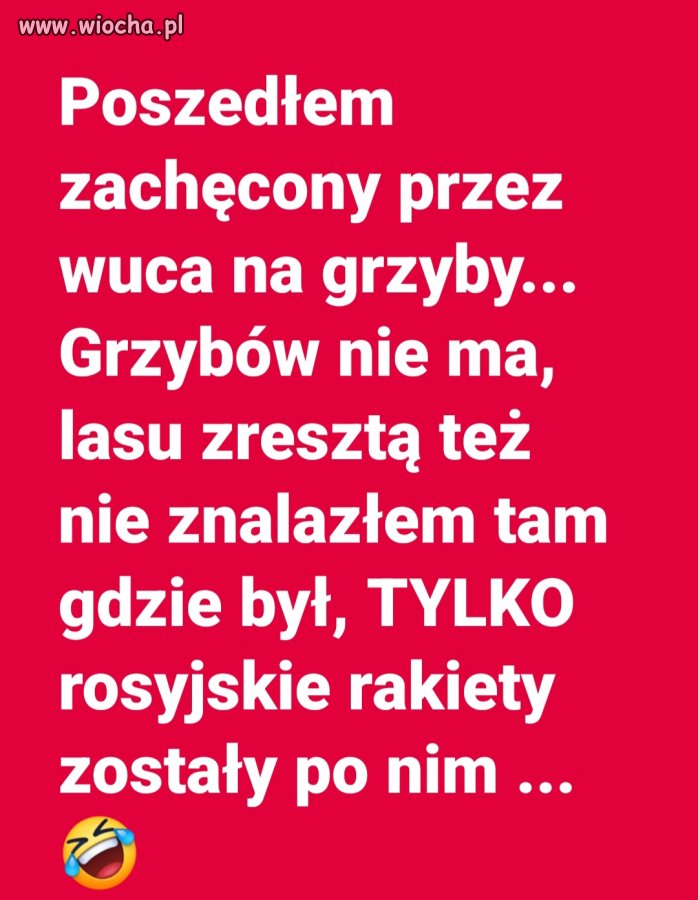 Fakt