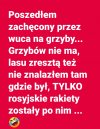 Fakt