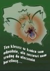 Na długie lata