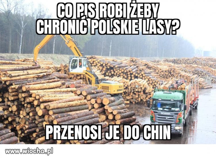 Przez 8 lat PiS okradł Polskę ze wszystkiego...