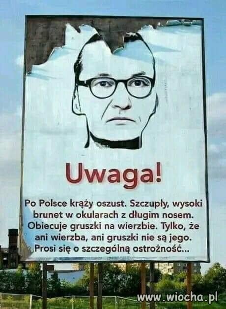 Pinokio alias Morawiecki 