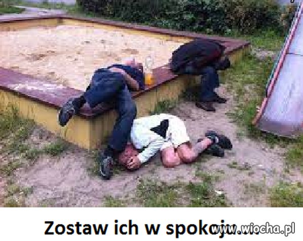 Wyborcy PiS po pikniku 800+