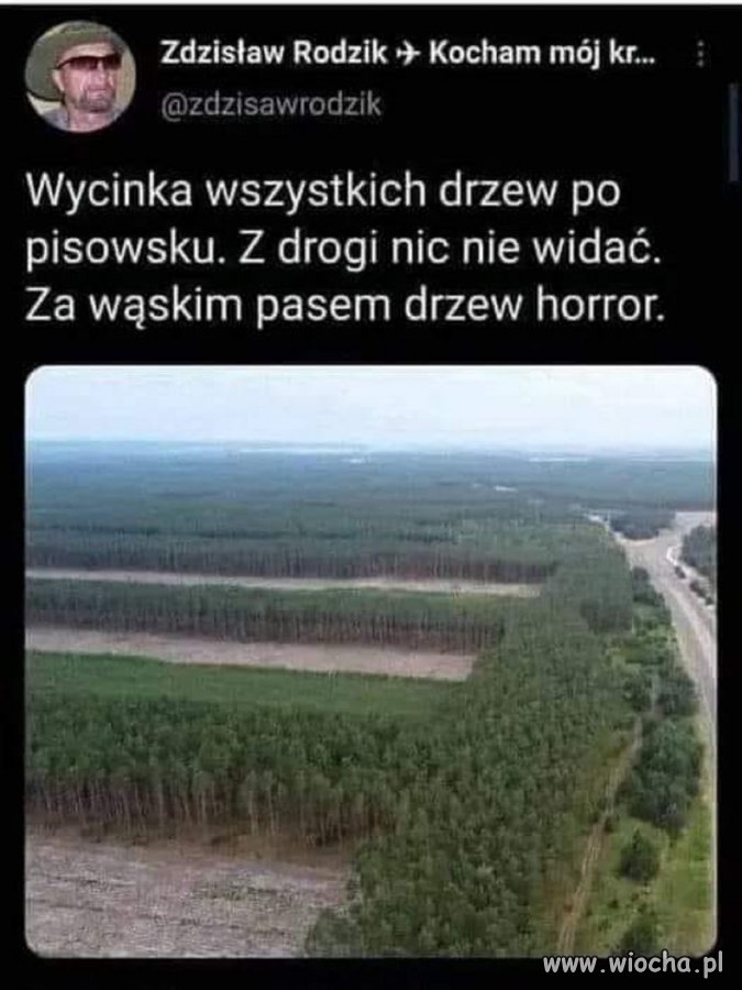 Piękny kamuflaż 