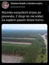 Piękny kamuflaż 