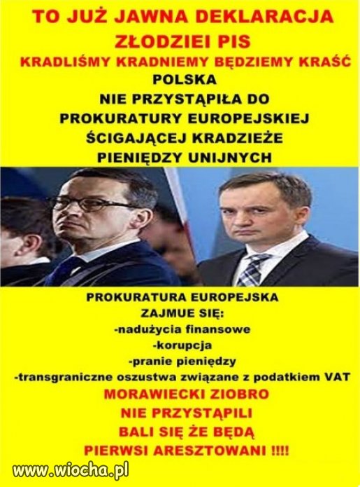 Klamac, krasc i szczuc na Tuska, to program polityczny PiSu!