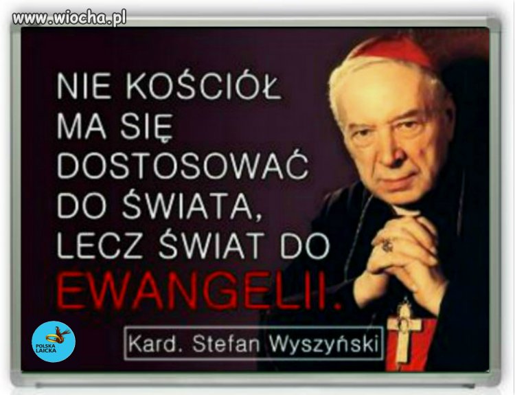 To jest bardzo dobry cytat i należy go szeroko udostępniać 