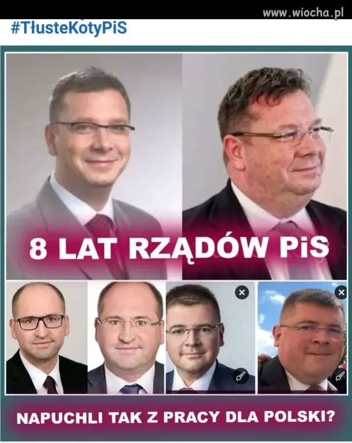 Tłuste koty pisowskie 