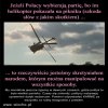 Polska to taki pańszczyźniany folwark.