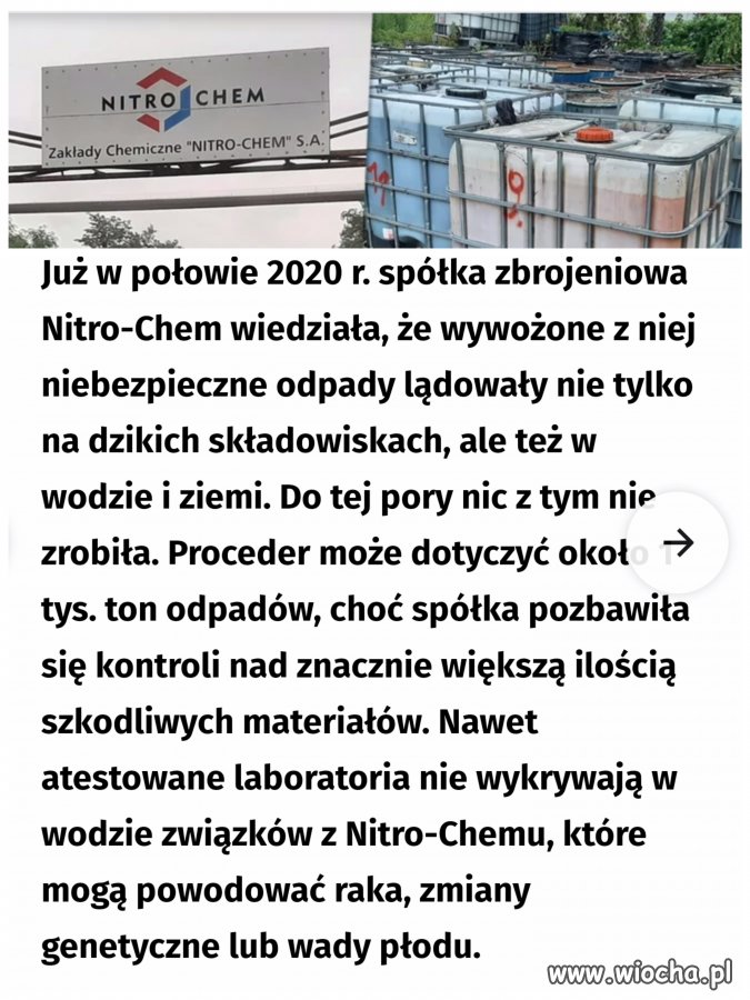 Spółką zarządza pis