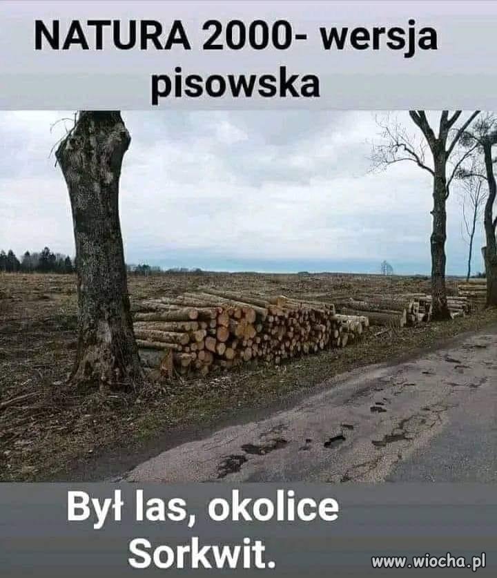 Ale przecie dajo