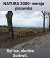 Ale przecie dajo