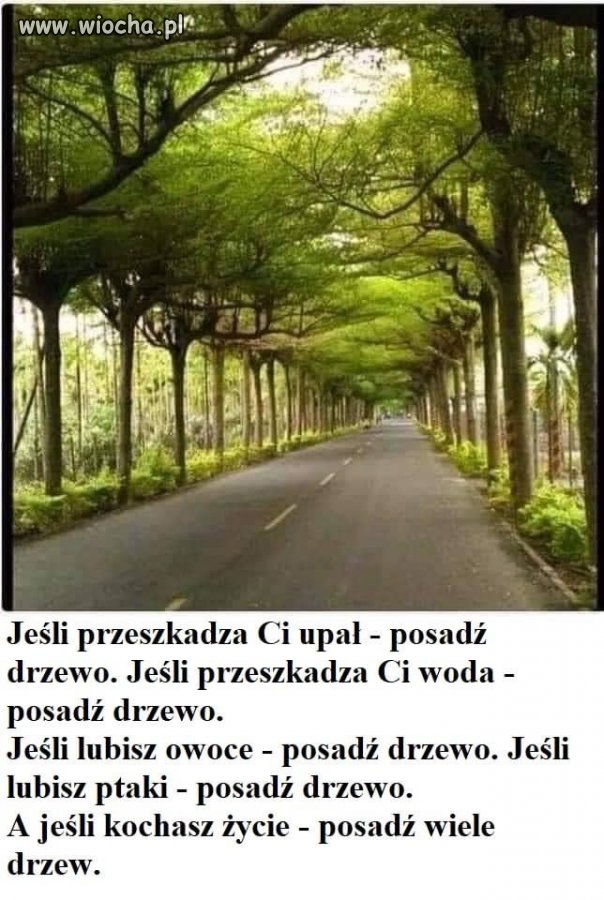 Popieram