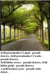 Popieram
