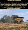 Taka paniusia ...
