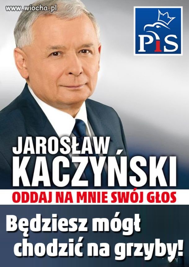 Program wyborczy PiS 