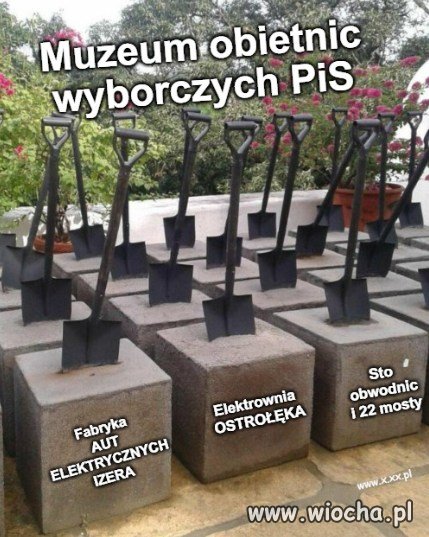 Oczywiście na zdjęciu 