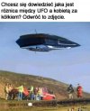 Bez polityki