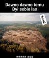Tak to wygląda