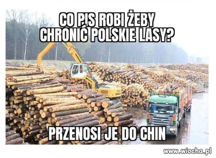 Odpowiecie za to