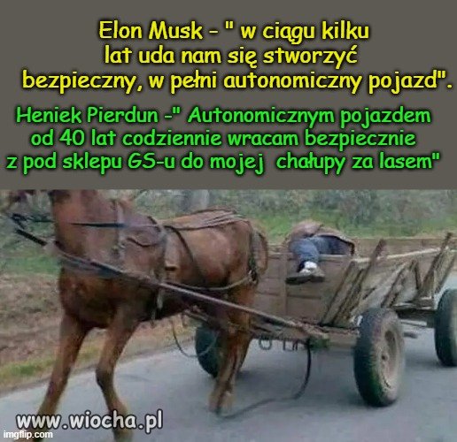 Szach mat