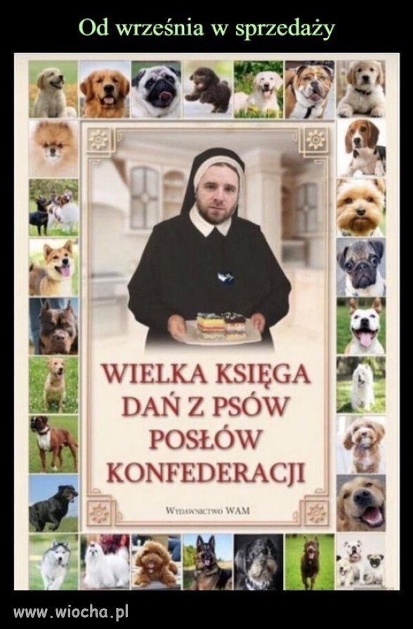 Książka bez tekstu, same obrazki, dla analfabetów Konfy!