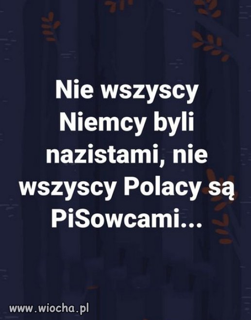 Polacy zastanawiają się, jak w Niemczech powstał faszyzm!