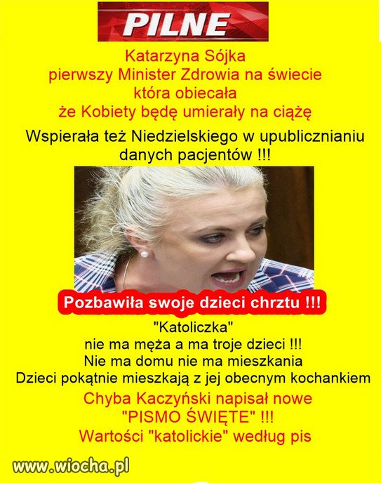 W Cyrku Kaczynskiego co jeden/jedna, to lepszy...