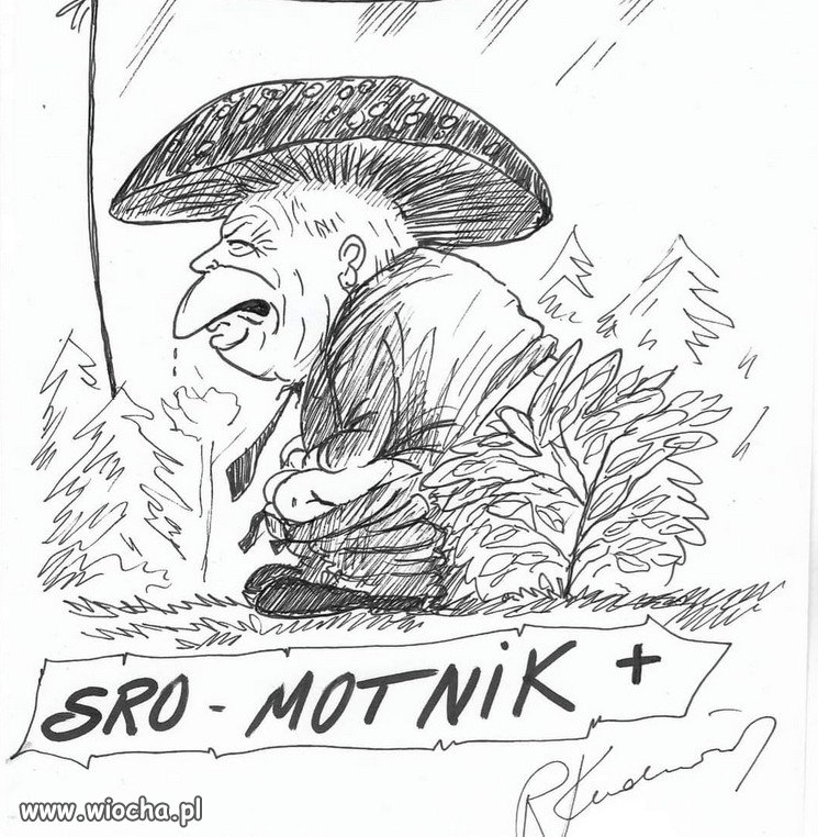 Sro-motnik+ PiSu...