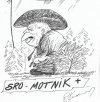 Sro-motnik+ PiSu...
