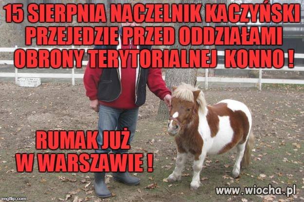 Transmisja oczywiście