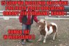 Transmisja oczywiście