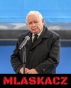 Dokładnie