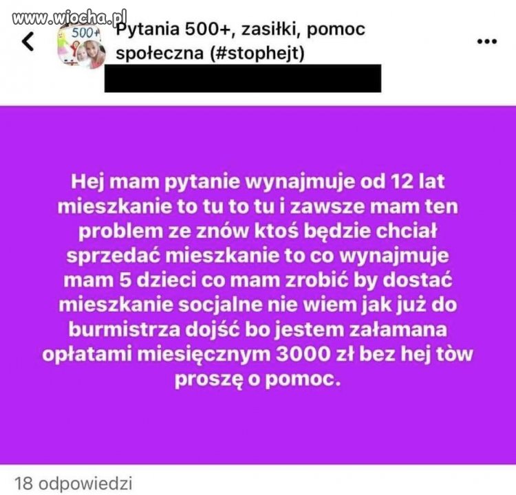 Kto o odrobinie rozumu decyduje się na taką ilość dzieci 
