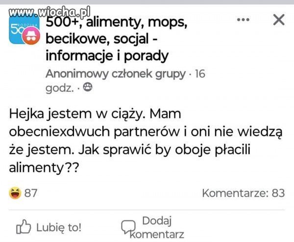 Na rynku świń sytuacja bez zmian .
