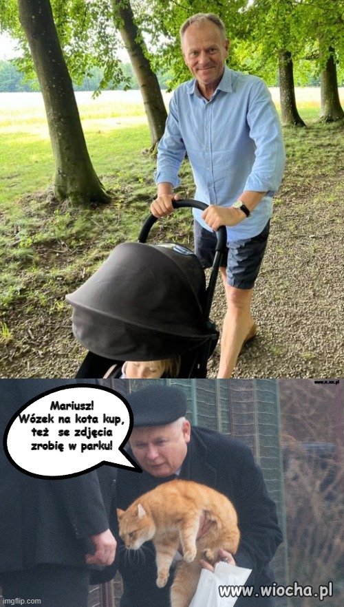 Bo dobrze wyglądają