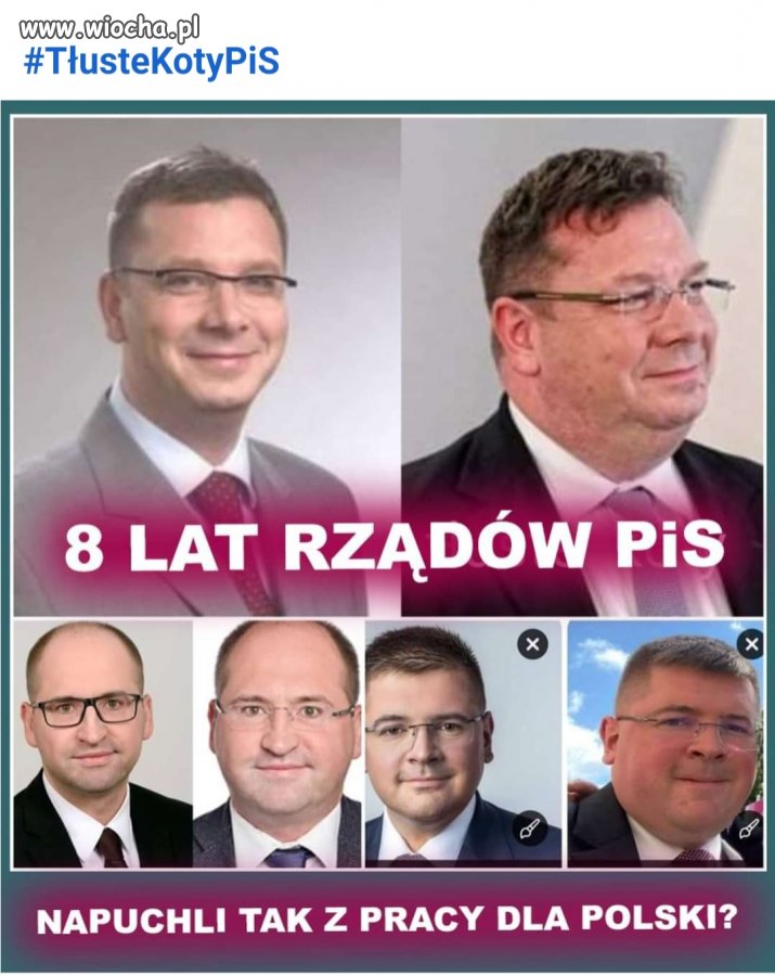 Tłuste koty pisowskie 