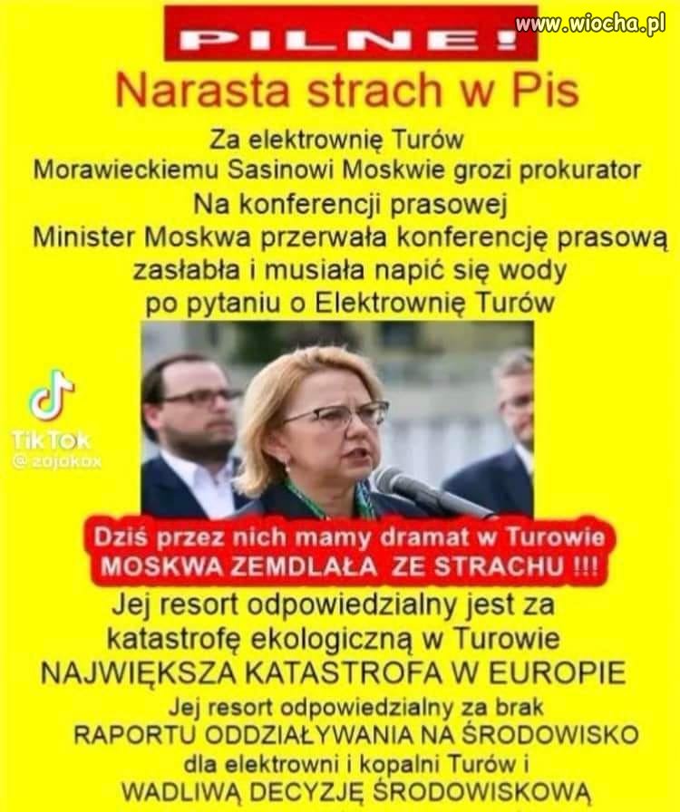 To tylko strach, kochani!