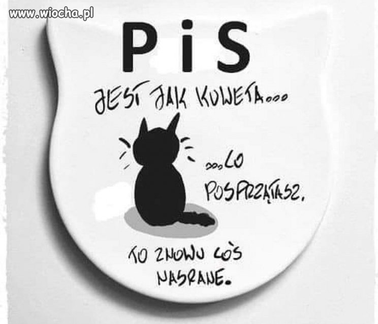 I tak w kółko