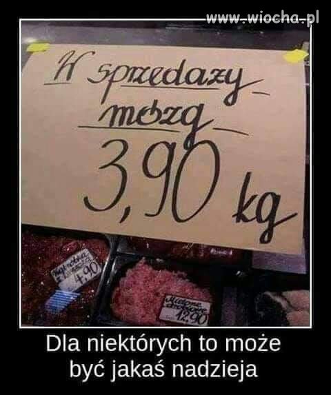 Oferta dla wyborców pis.