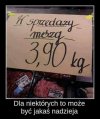 Oferta dla wyborców pis.