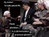 Piknik PiS